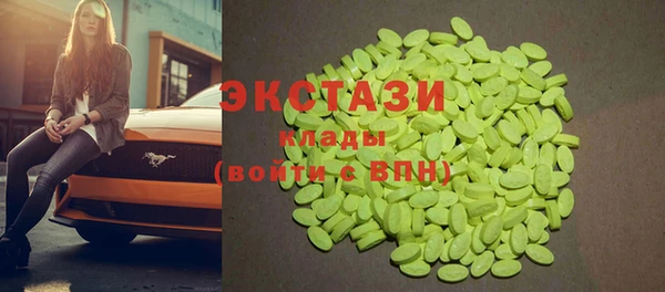 мдпв Гусев