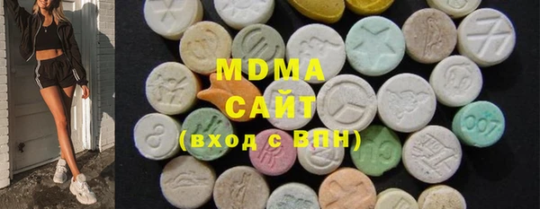 мдпв Гусев
