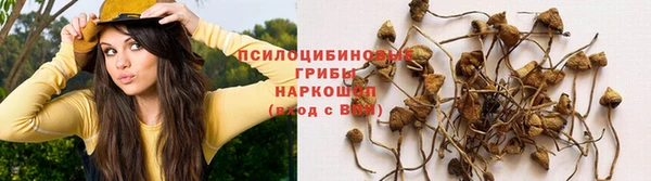 ALPHA-PVP Гусиноозёрск