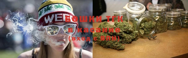 мдпв Гусев