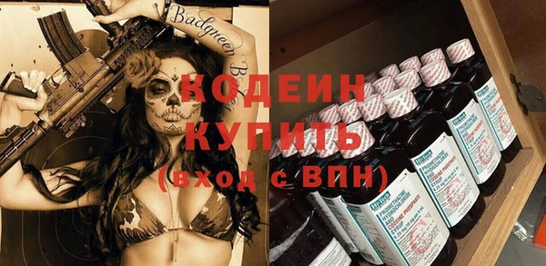 мдпв Гусев