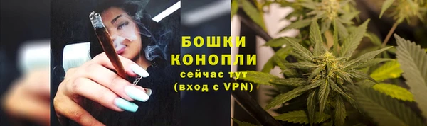 наркотики Гусь-Хрустальный