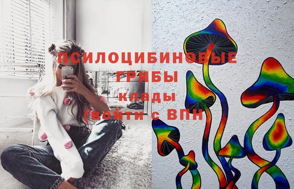 ALPHA-PVP Гусиноозёрск