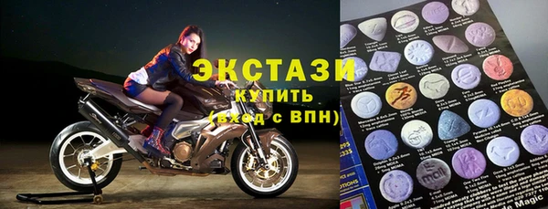 мдпв Гусев