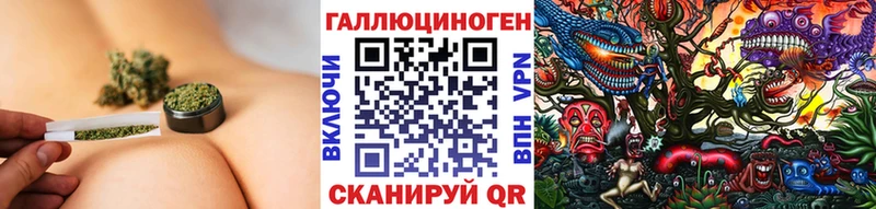 где продают   Дрезна  Галлюциногенные грибы GOLDEN TEACHER 